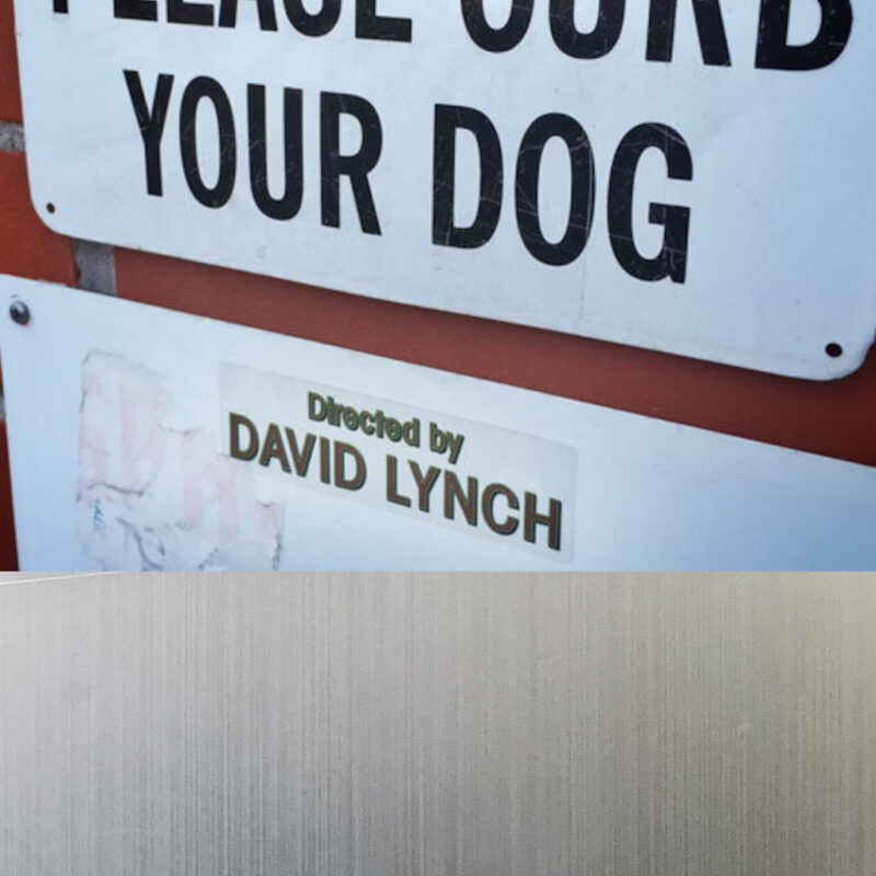 DIRECTED by DAVID LYNCH Bumper Stickers 10 DIRECTED by DAVID LYNCH Bumper Stickers